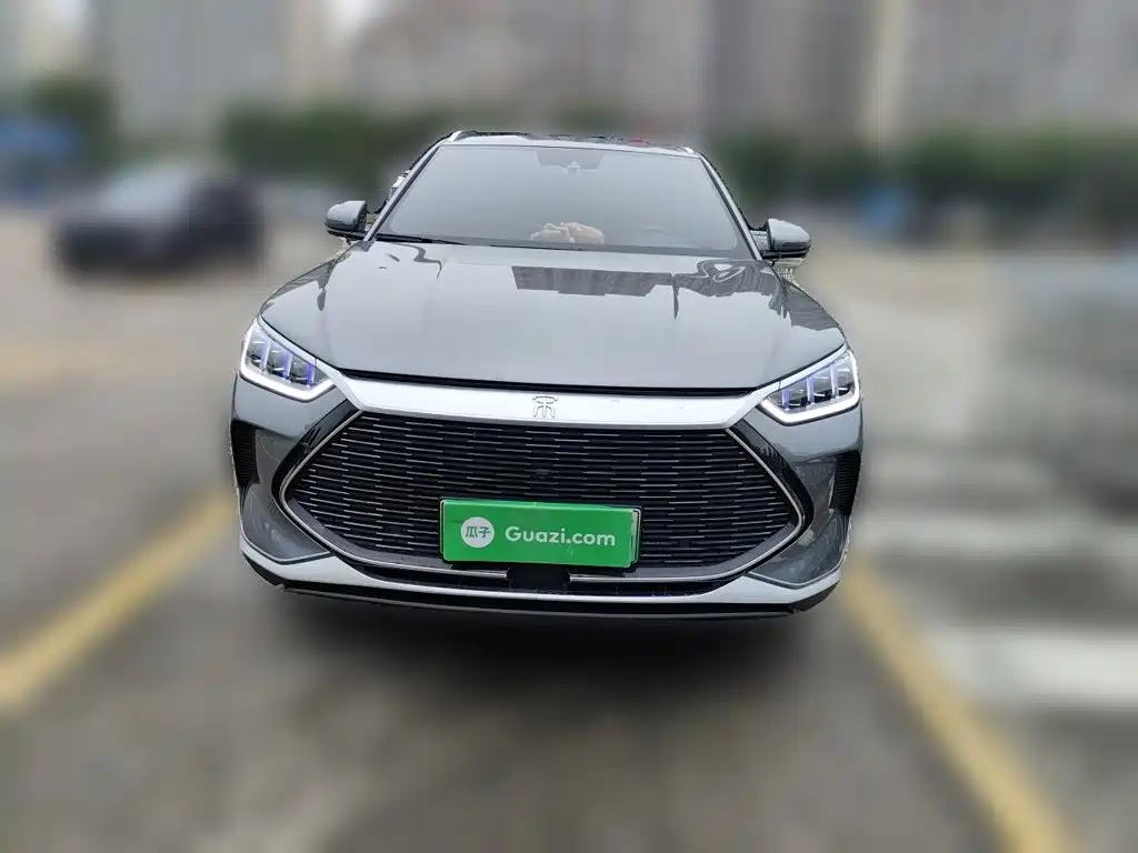 BYD PLUS New Energy — миниатюра 24