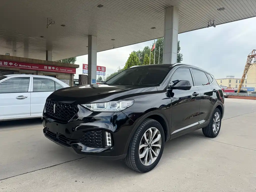 Wey Wey VV6
