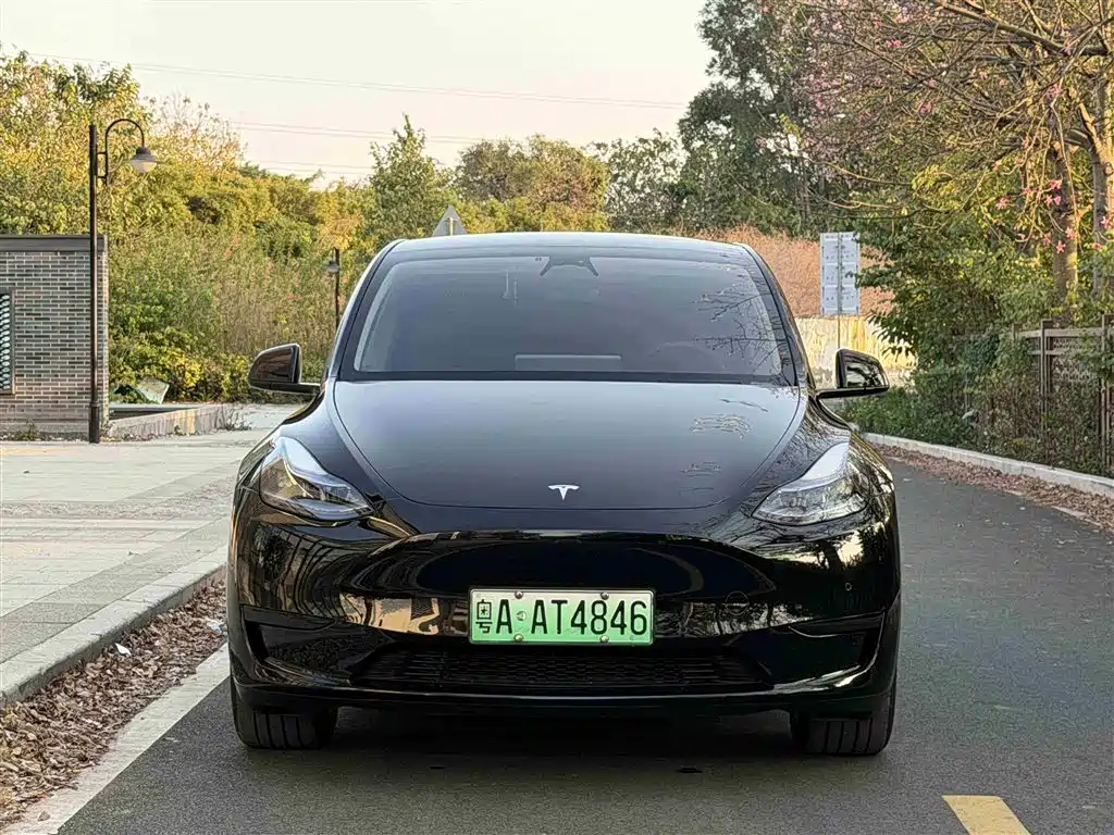 TESLA MODEL Y