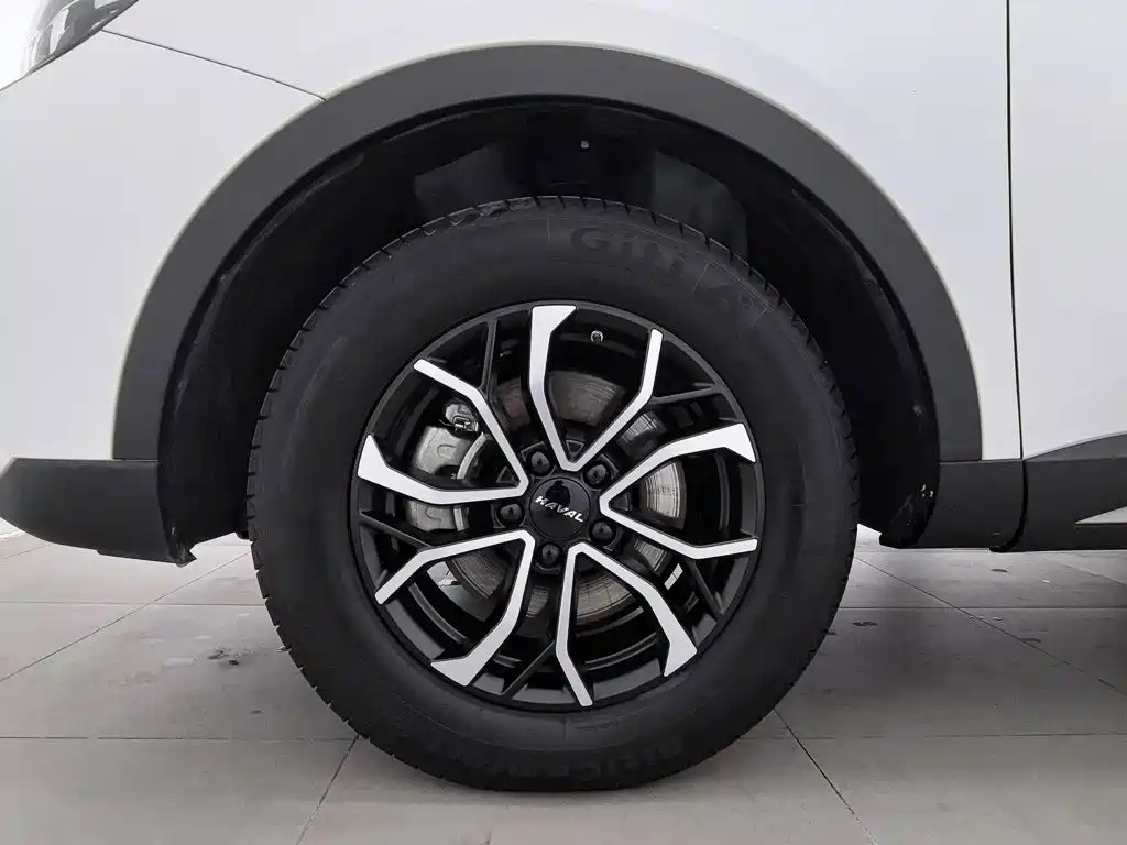Haval H6 — миниатюра 17