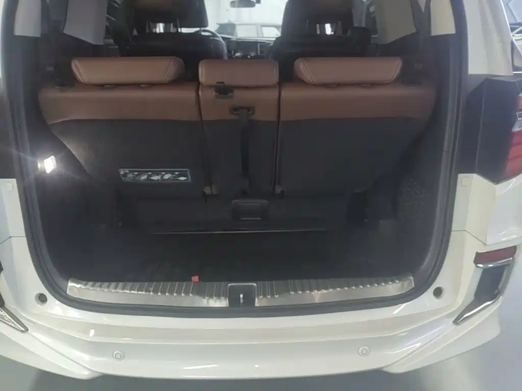 Honda Elysion — миниатюра 19