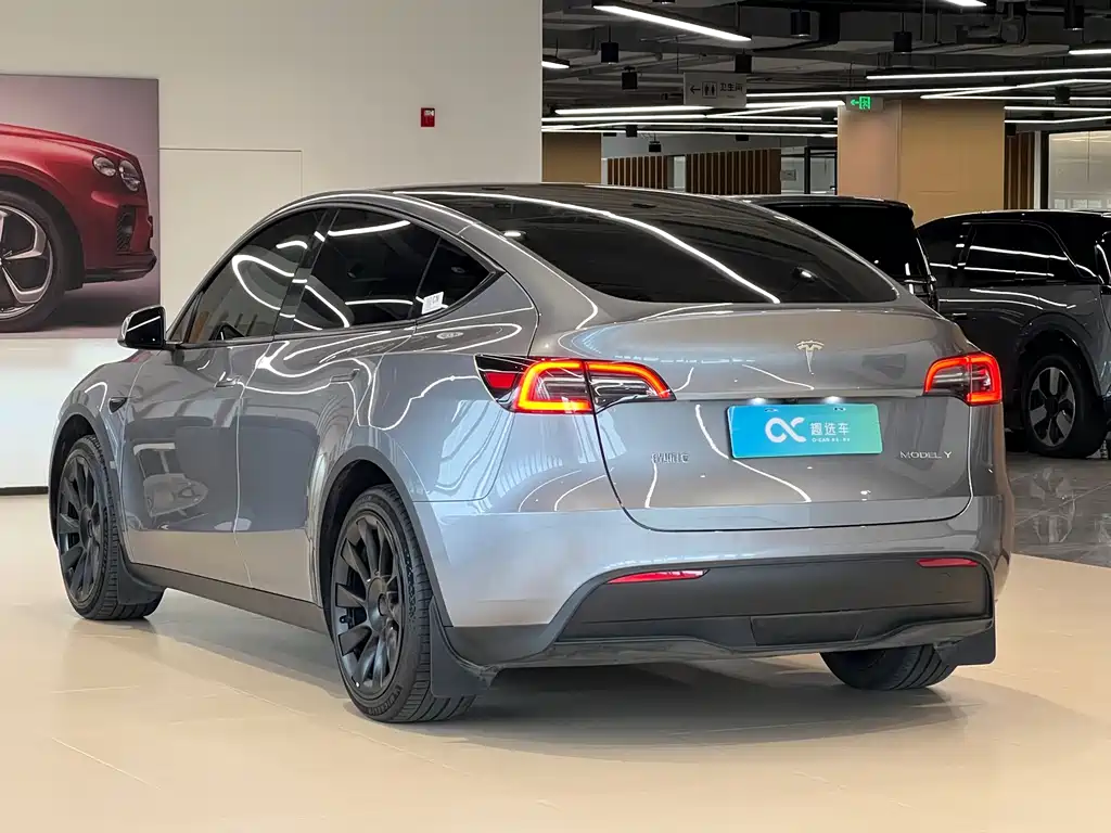 Tesla Model Y — миниатюра 5