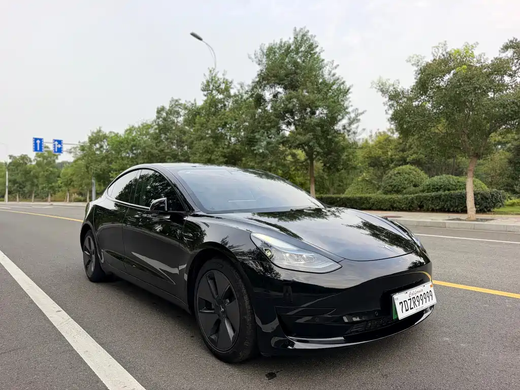 Tesla Model 3 — миниатюра 3