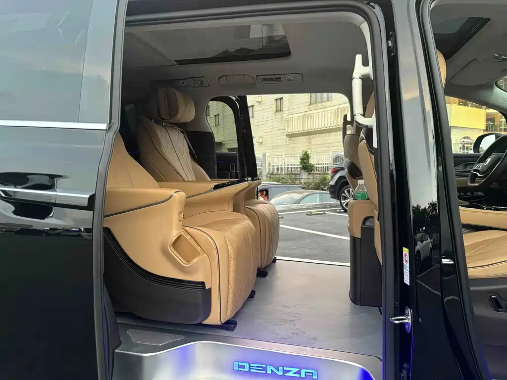 Denza Denza D9 — миниатюра 13