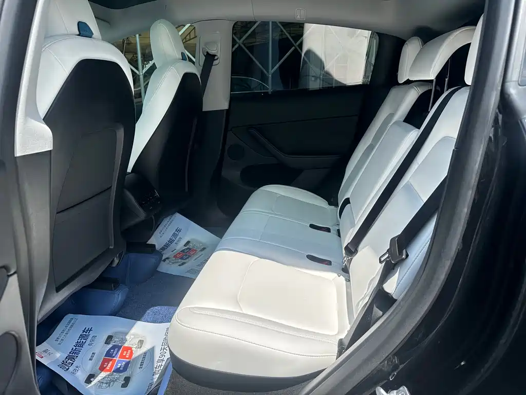 Tesla Model Y — миниатюра 10