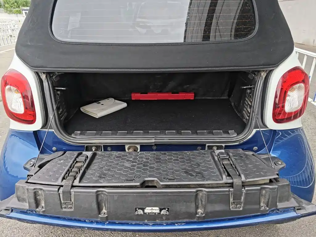 smart Smart Fortwo — миниатюра 19
