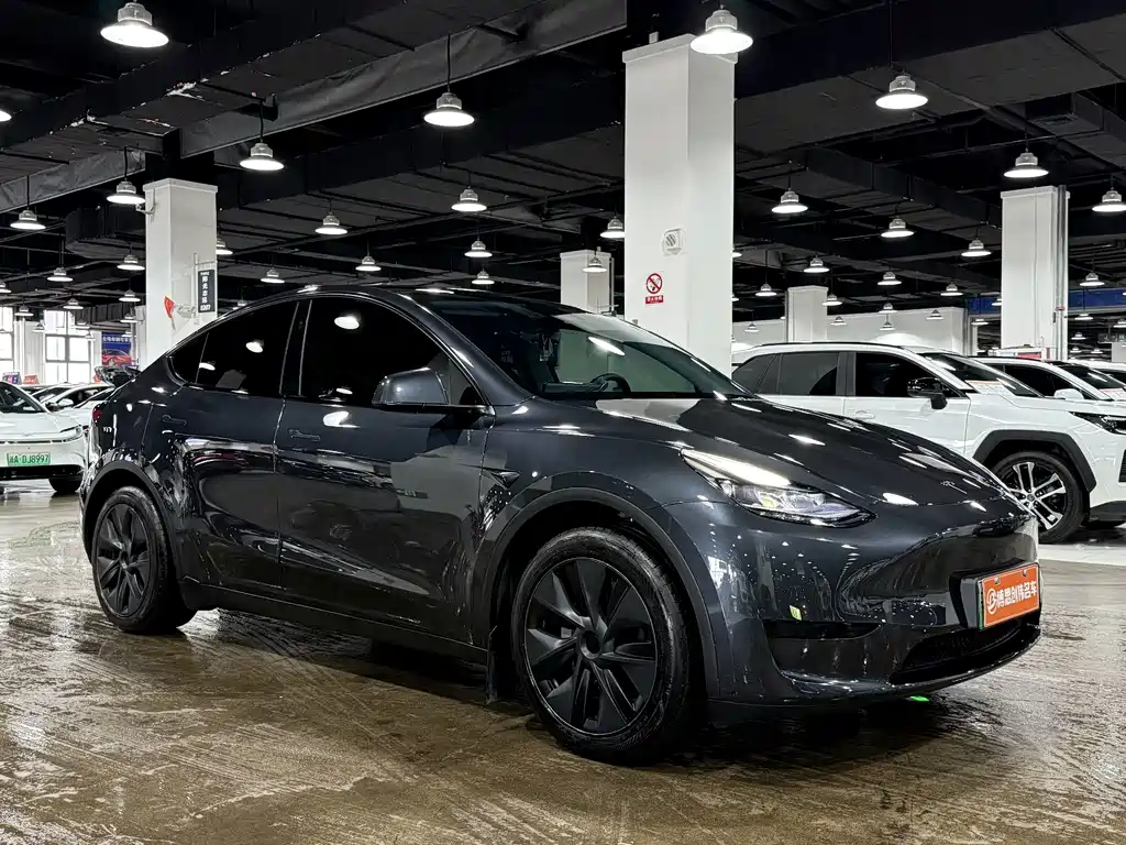 Tesla Model Y — миниатюра 3