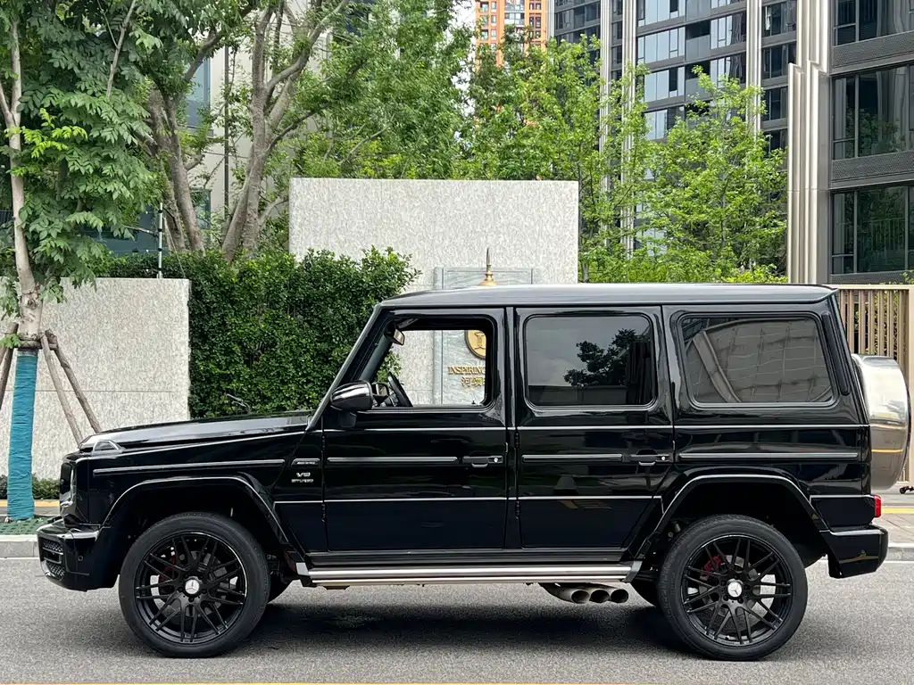 Mercedes-Benz G-Class A MG G AMG 2009 AMG G 55