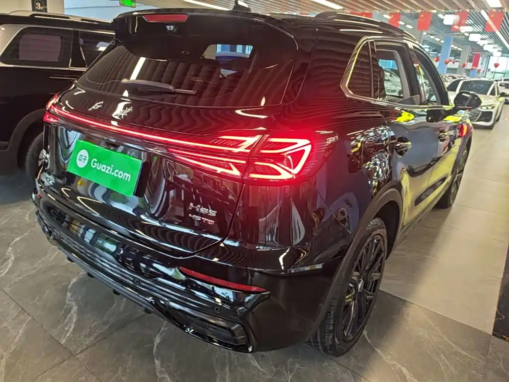 Hongqi Hongqi HS5 — миниатюра 7