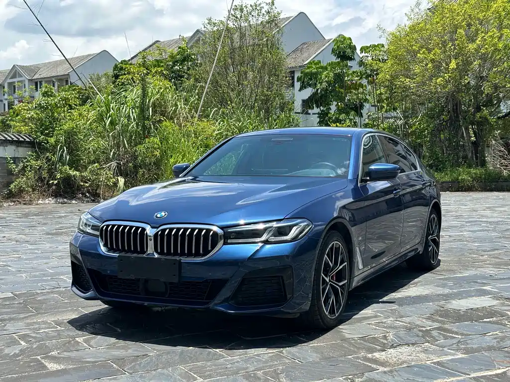 BMW 5 Series 2020