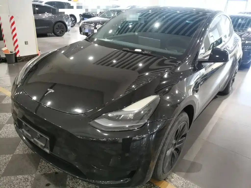 Tesla Model Y — миниатюра 2