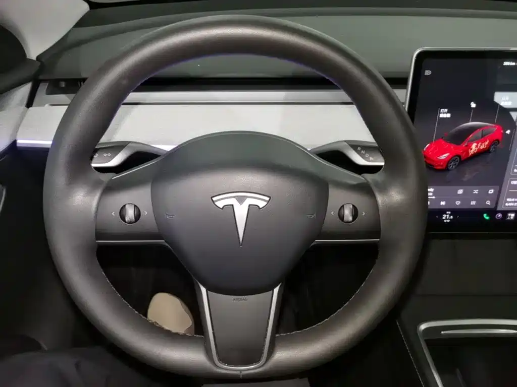 Tesla Model Y — миниатюра 11