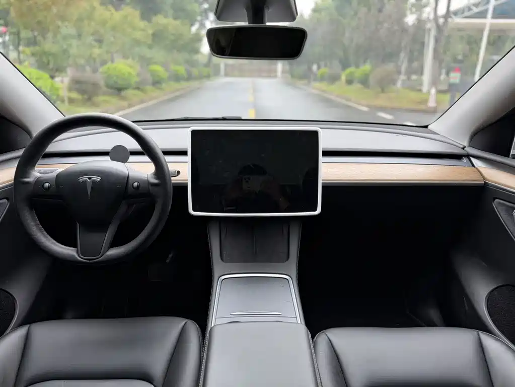 Tesla Model Y — миниатюра 10