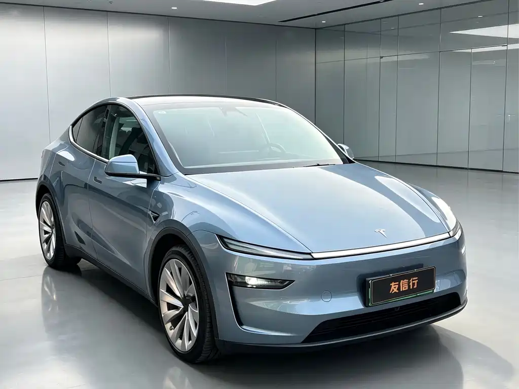 Tesla Model Y — миниатюра 3