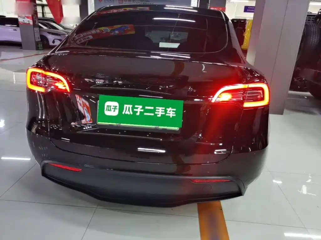 Tesla Model Y — миниатюра 6