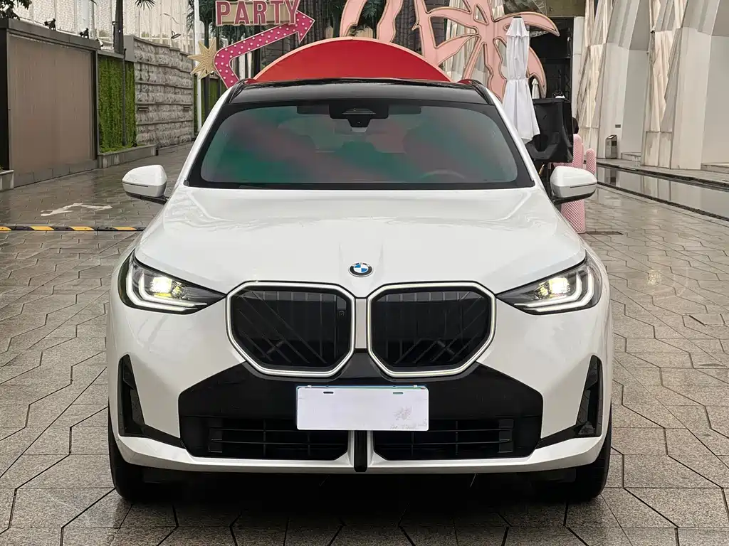 BMW X3 — миниатюра 2