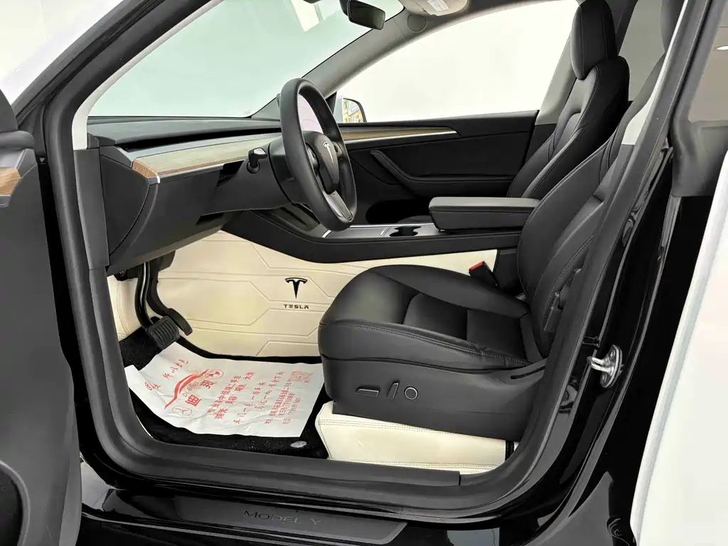 Tesla Model Y — миниатюра 4