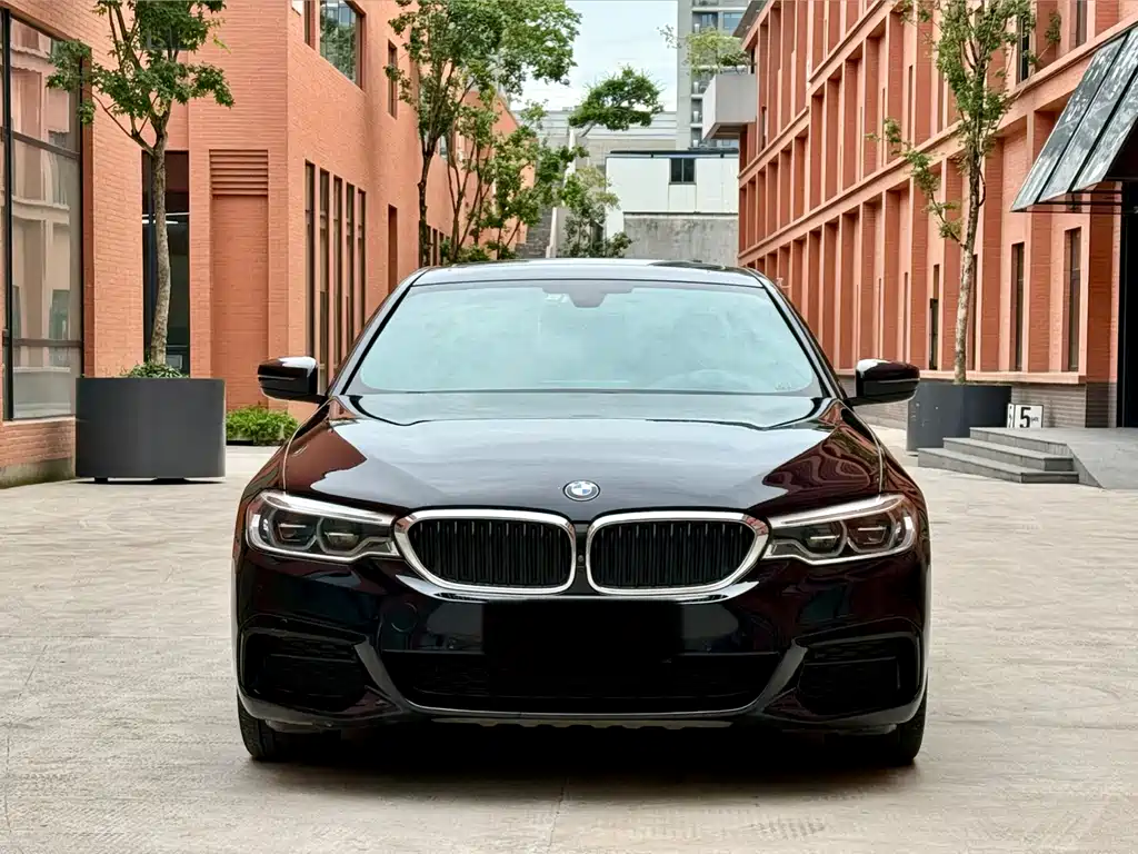 BMW 5 Series 5 2020 530Li Premium M Sport
