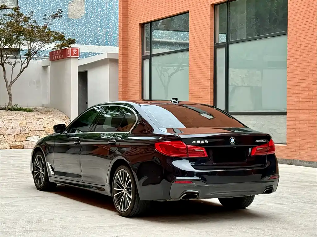 BMW 5 Series 5 2020 530Li Premium M Sport