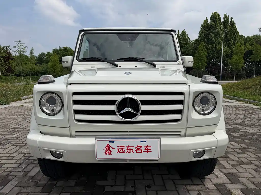 Mercedes-Benz G-Class G 2010 G 500