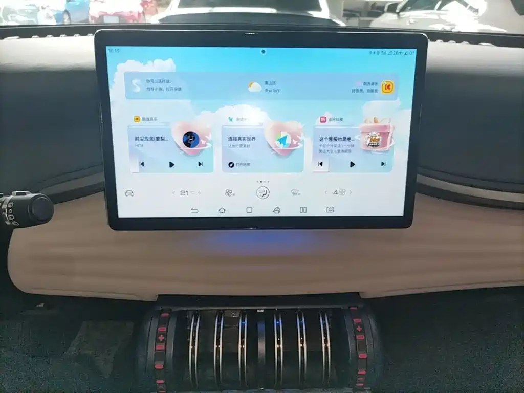 BYD Yuan Plus — миниатюра 13