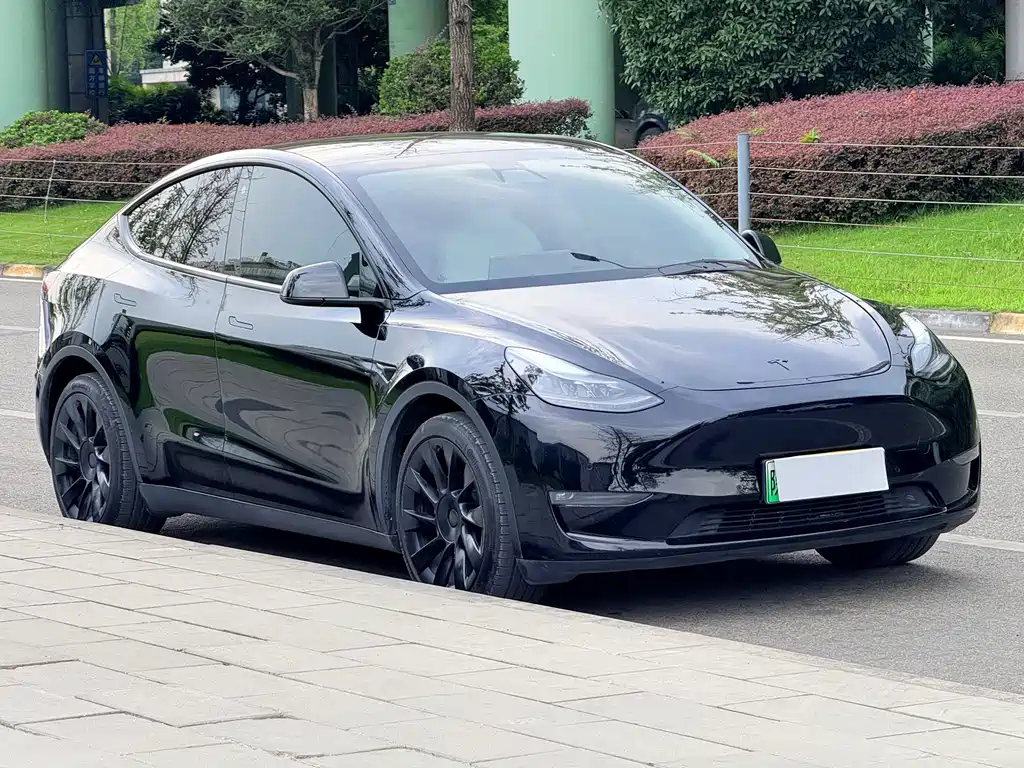 Tesla Model Y — миниатюра 4