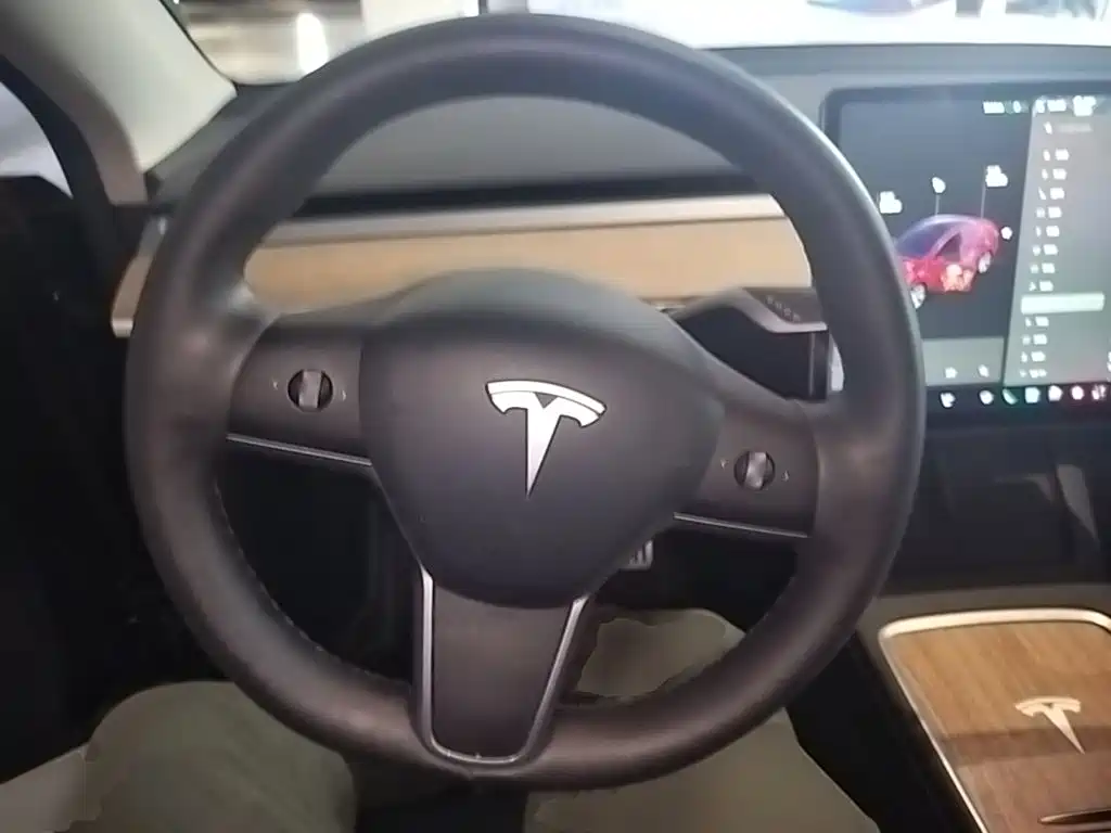 Tesla Model Y — миниатюра 11