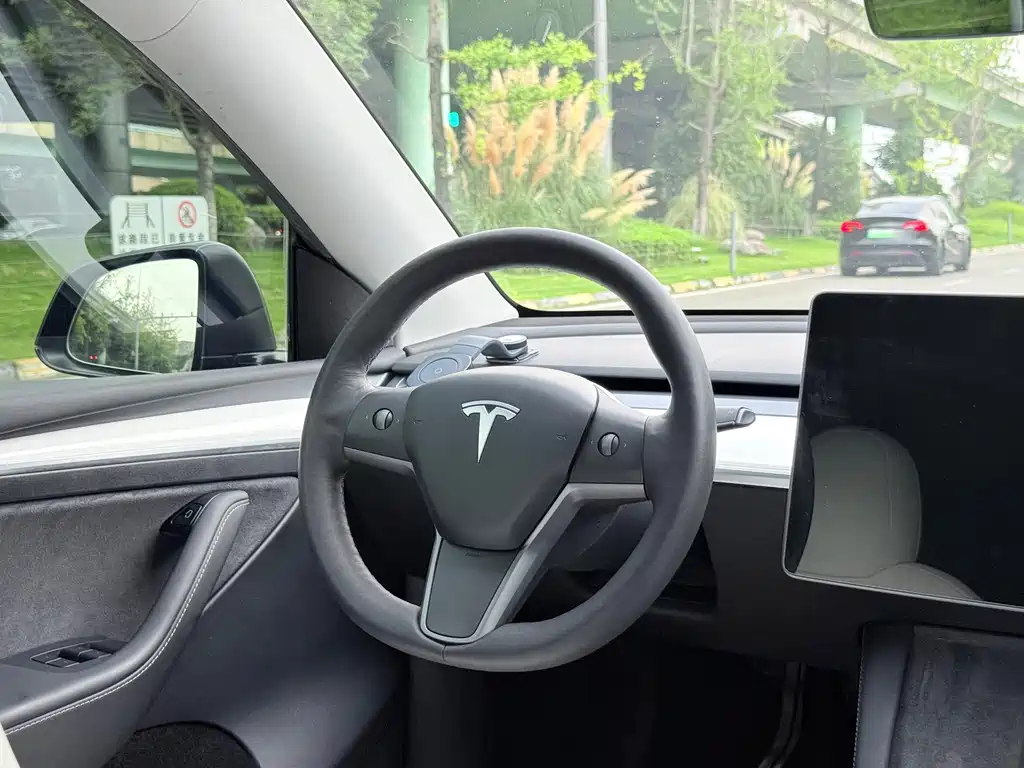 Tesla Model Y — миниатюра 12