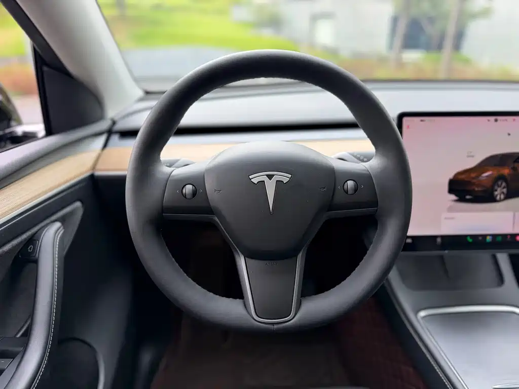 Tesla Model Y — миниатюра 20