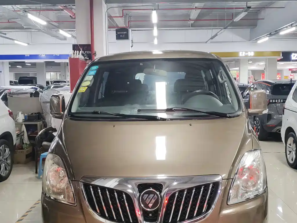 Foton Maverick E