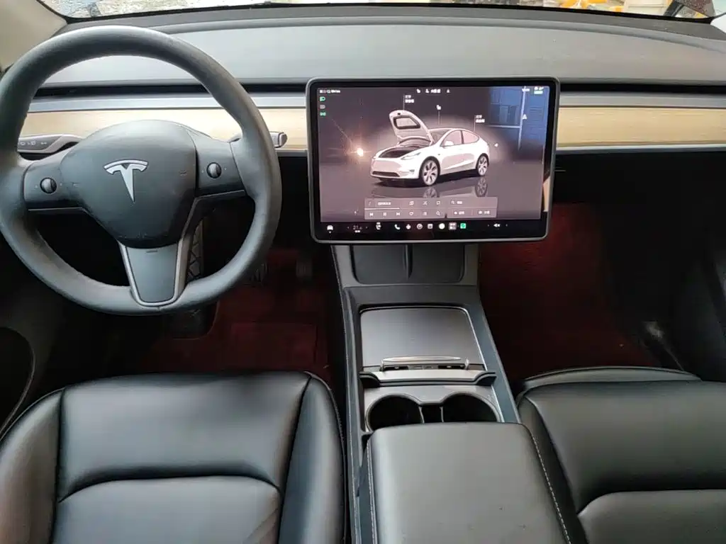 Tesla Model Y — миниатюра 10