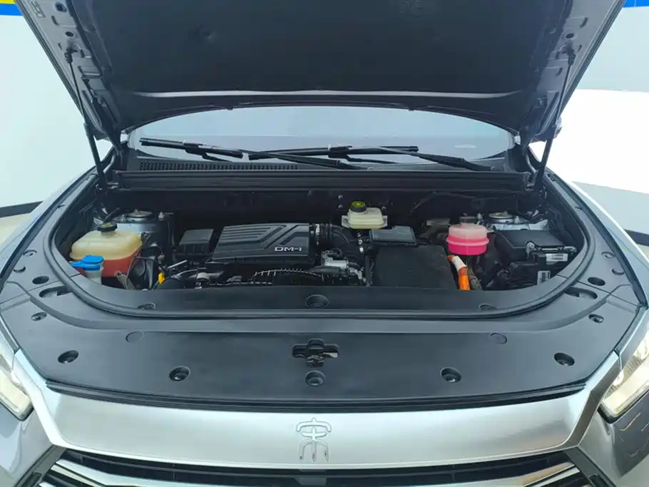 BYD SONGJIANG NEW ENERGY