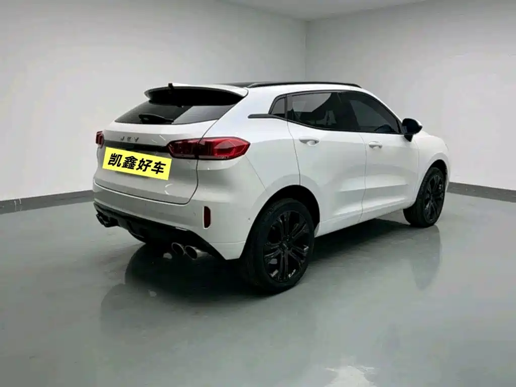 WEI PAI WEI BRAND VV5