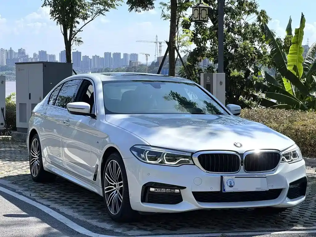 BMW 5 Series — миниатюра 2