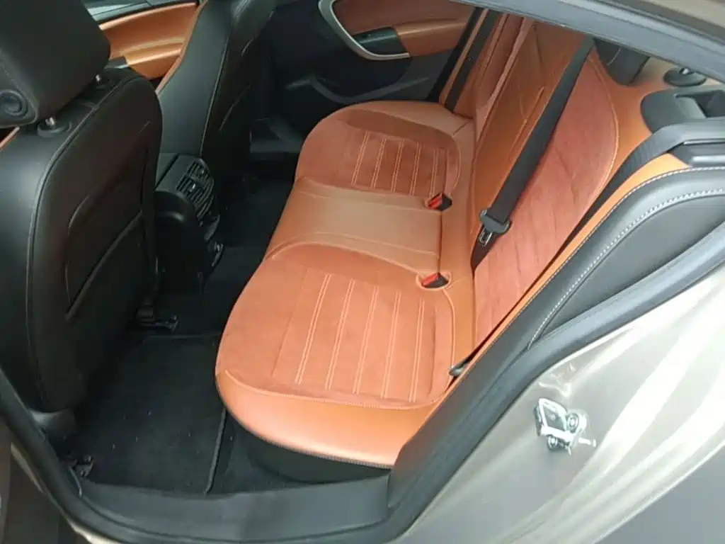 Buick Regal — миниатюра 22