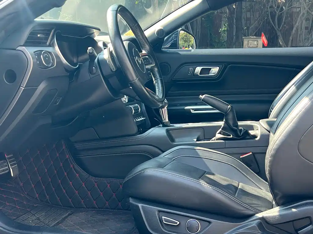 Ford Mustang — миниатюра 6