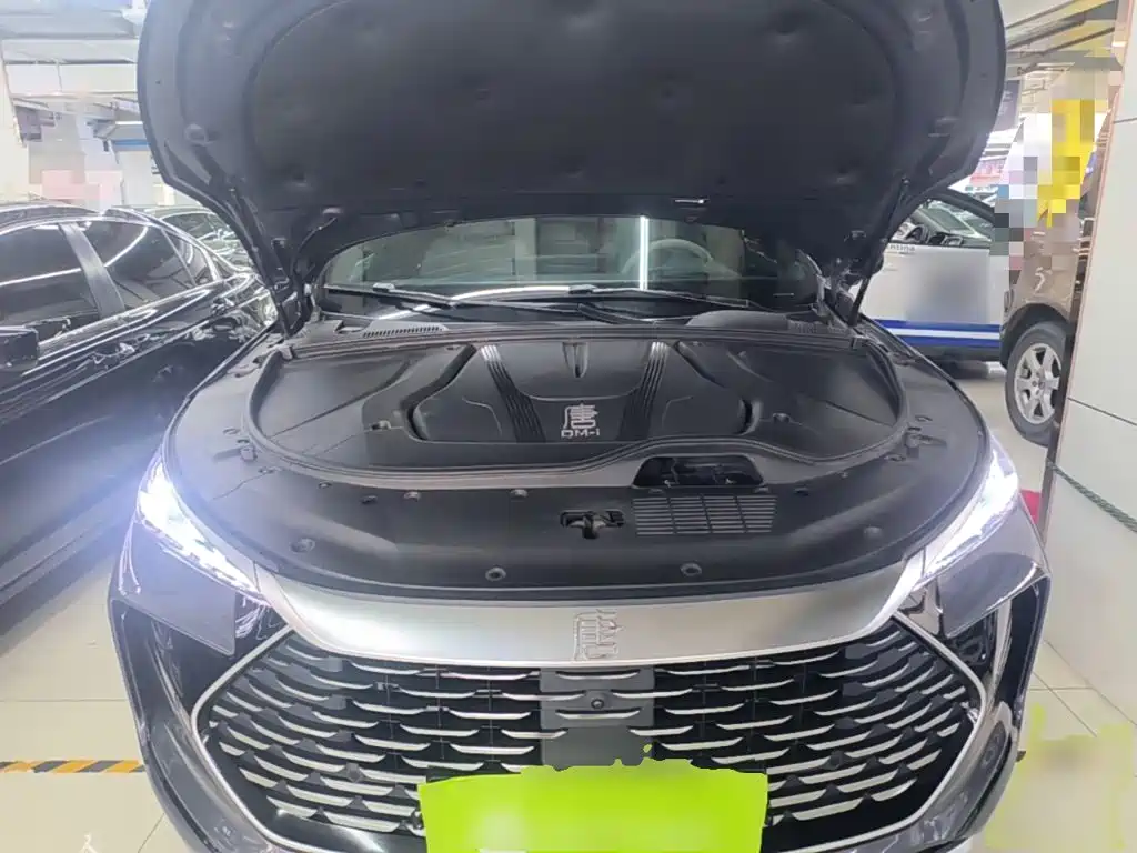 BYD Tang New Energy — миниатюра 20