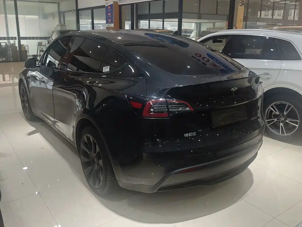 Tesla Model Y — миниатюра 2