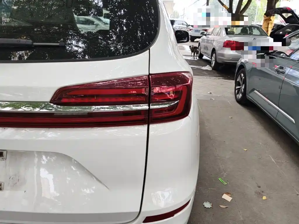BYD Song — миниатюра 8