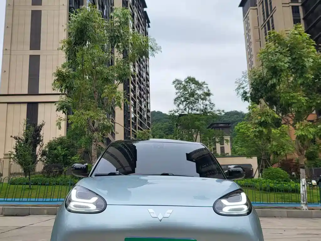 Wuling Binguo 2023 333km Enjoy