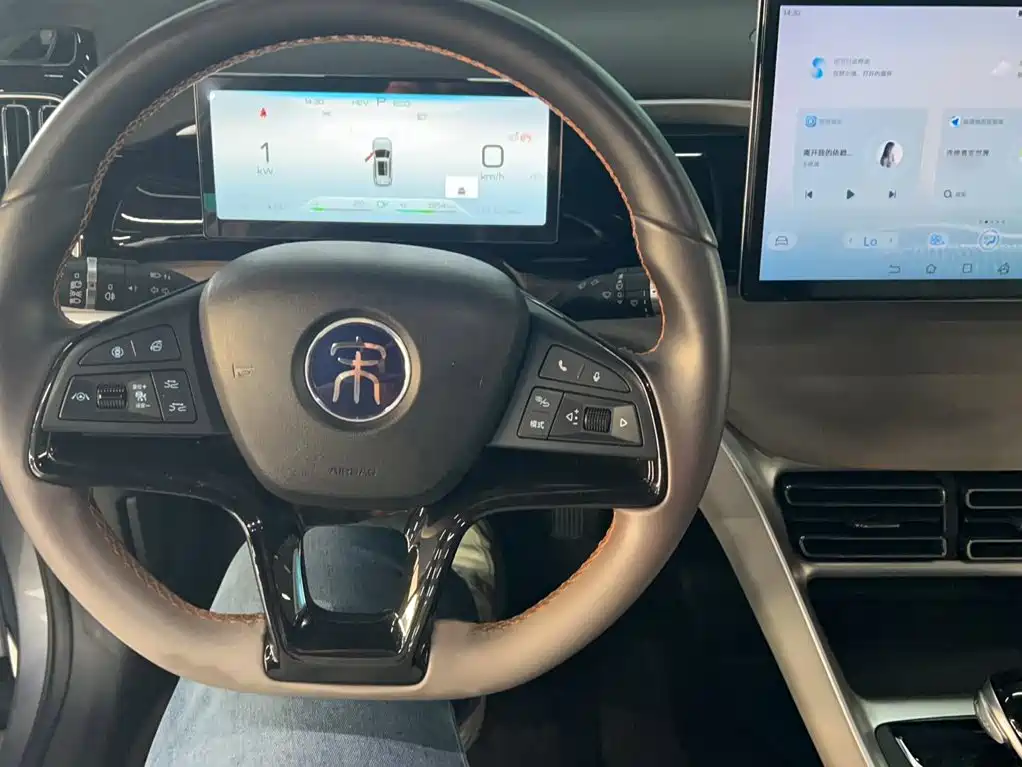 BYD Pro New Energy — миниатюра 4