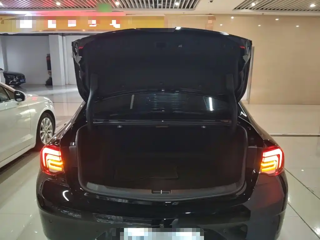 Buick Regal — миниатюра 19