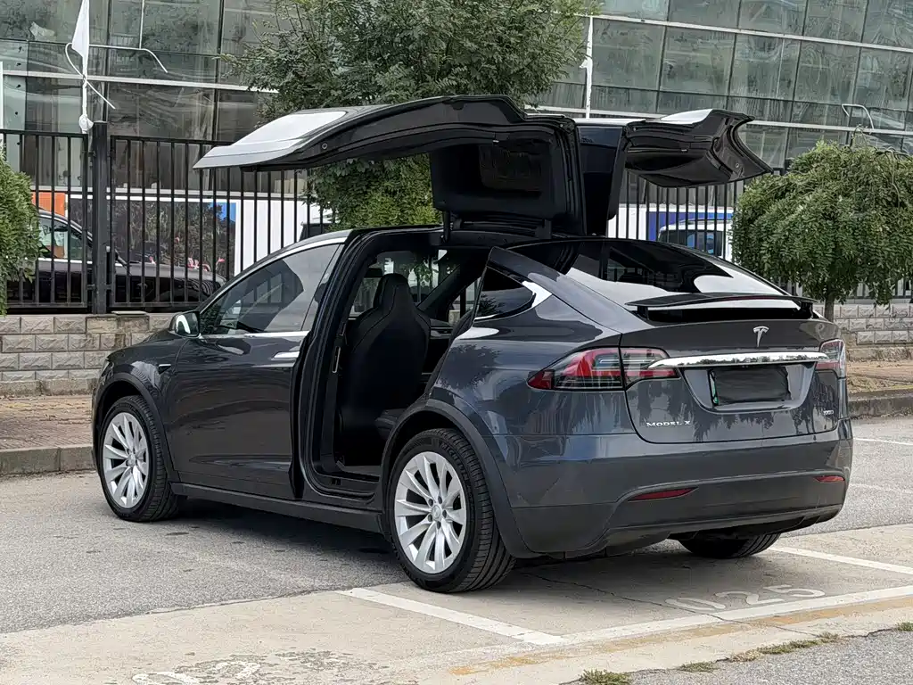 Tesla Model X — миниатюра 15