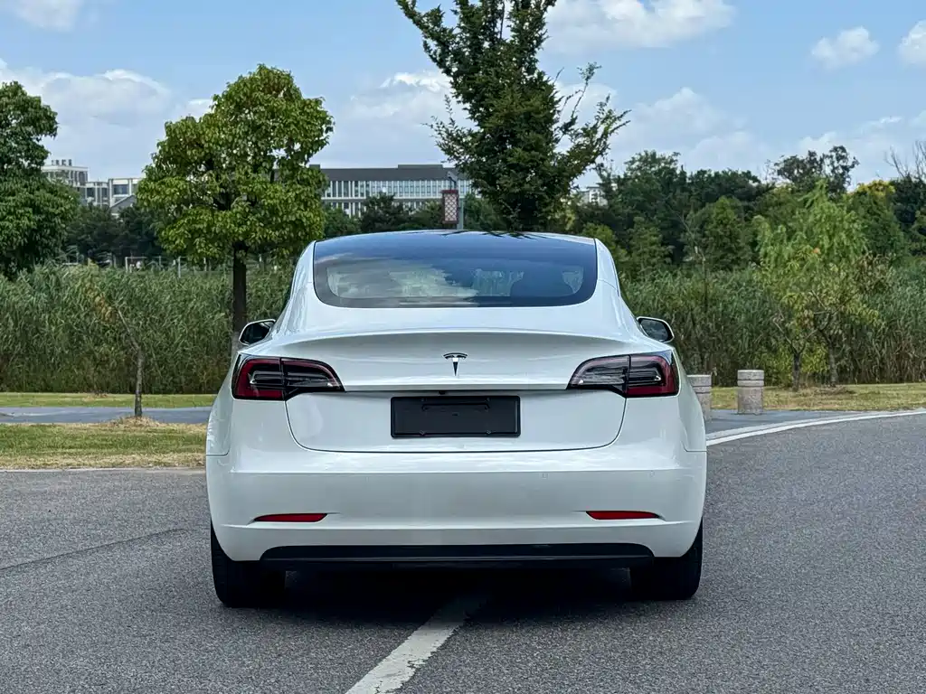 Tesla Model 3 — миниатюра 5