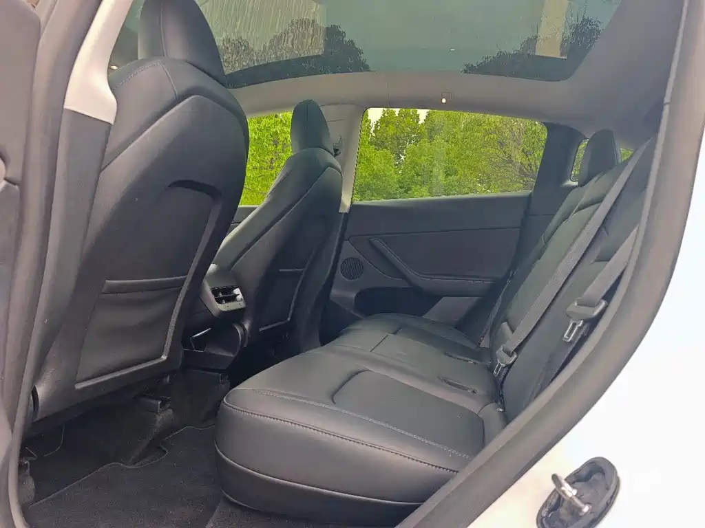 Tesla Model Y — миниатюра 4