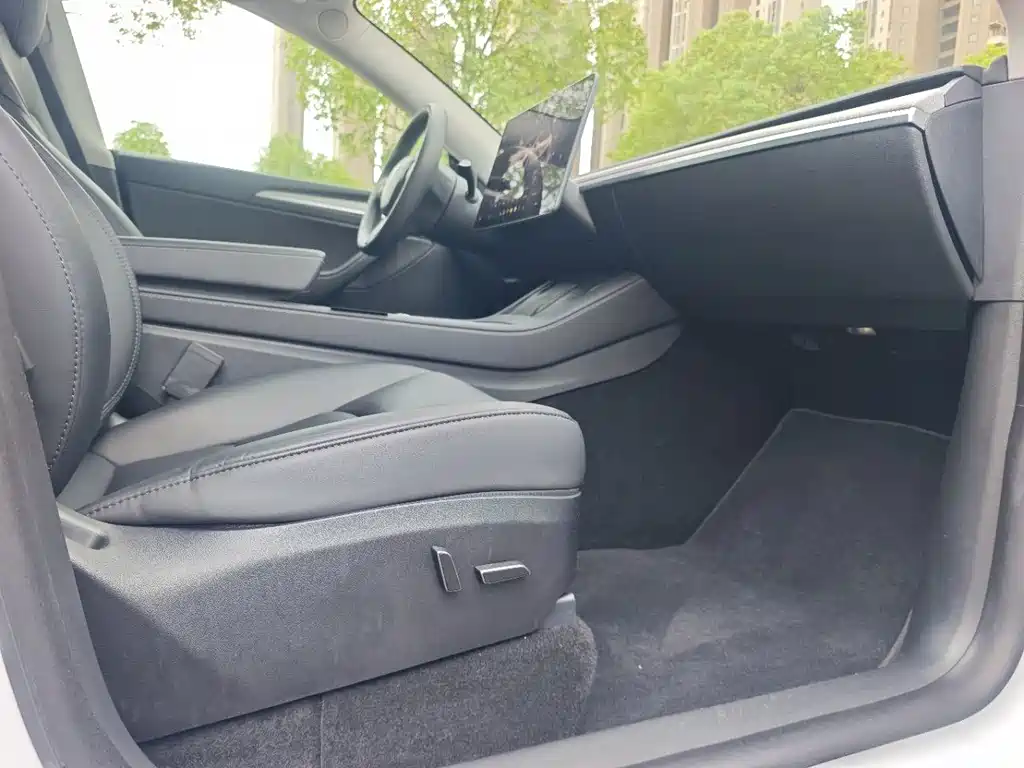 Tesla Model Y — миниатюра 7