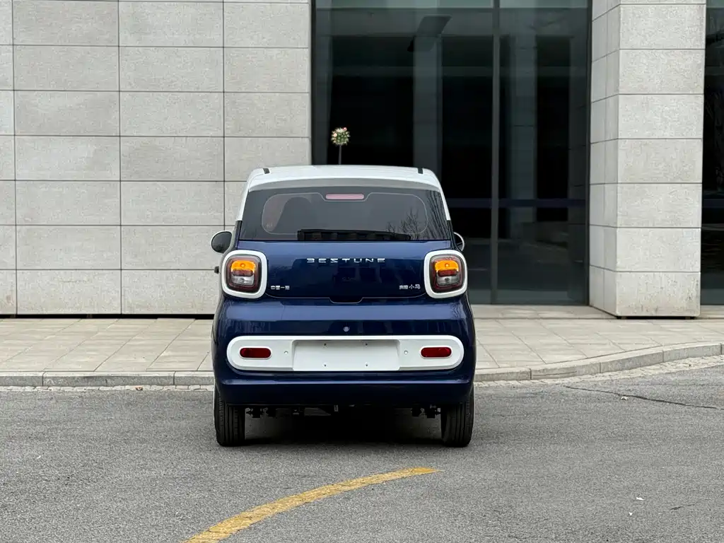 BESTUNE PENTIUM PONY