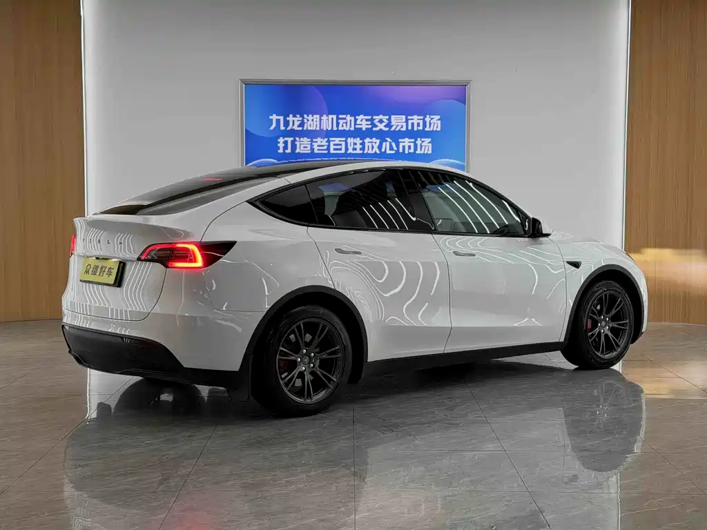 Tesla Model Y — миниатюра 6
