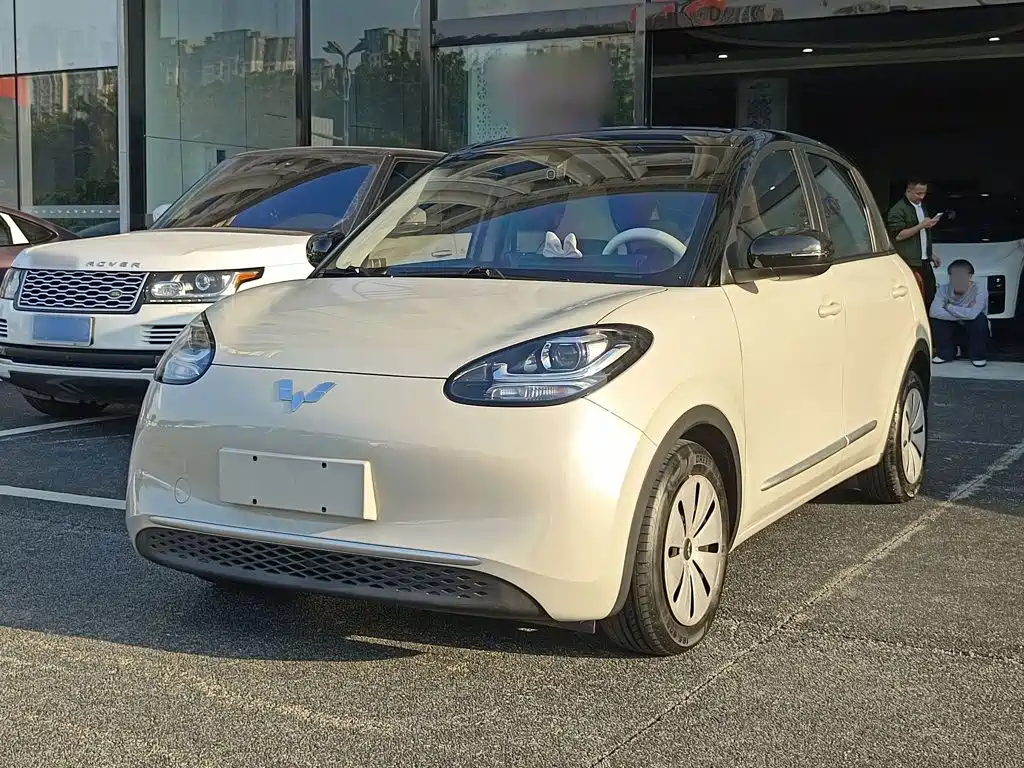Wuling Bingo