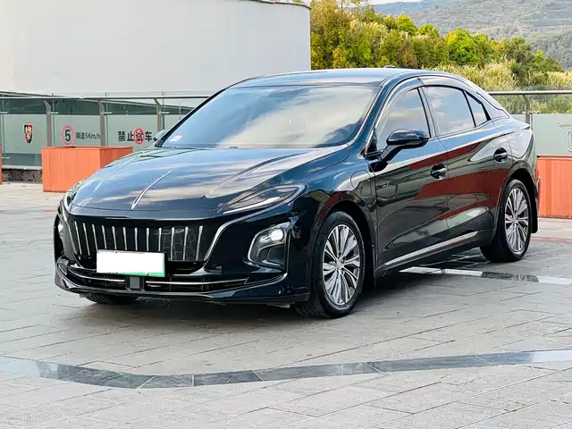 Hongqi HONGQI E QM5 2024